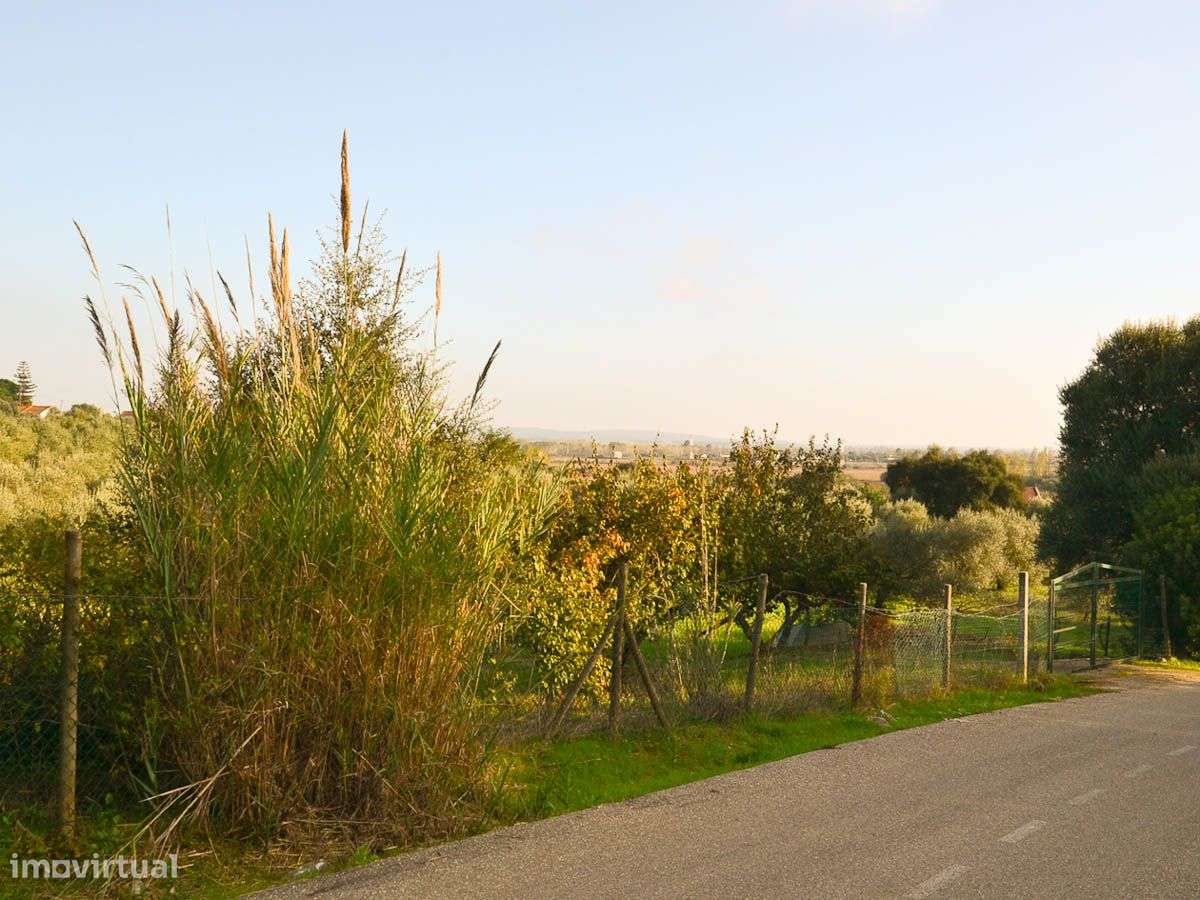 Terreno com 26.720m2 com Vista para o Rio Tejo - Grande imagem: 5/9
