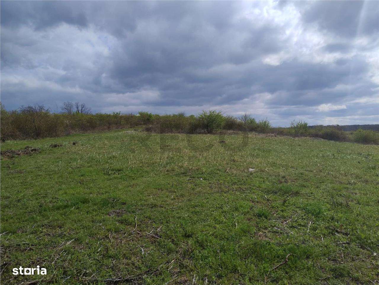 RECO Teren intravilan, Paleu - Imagine principală: 1/1