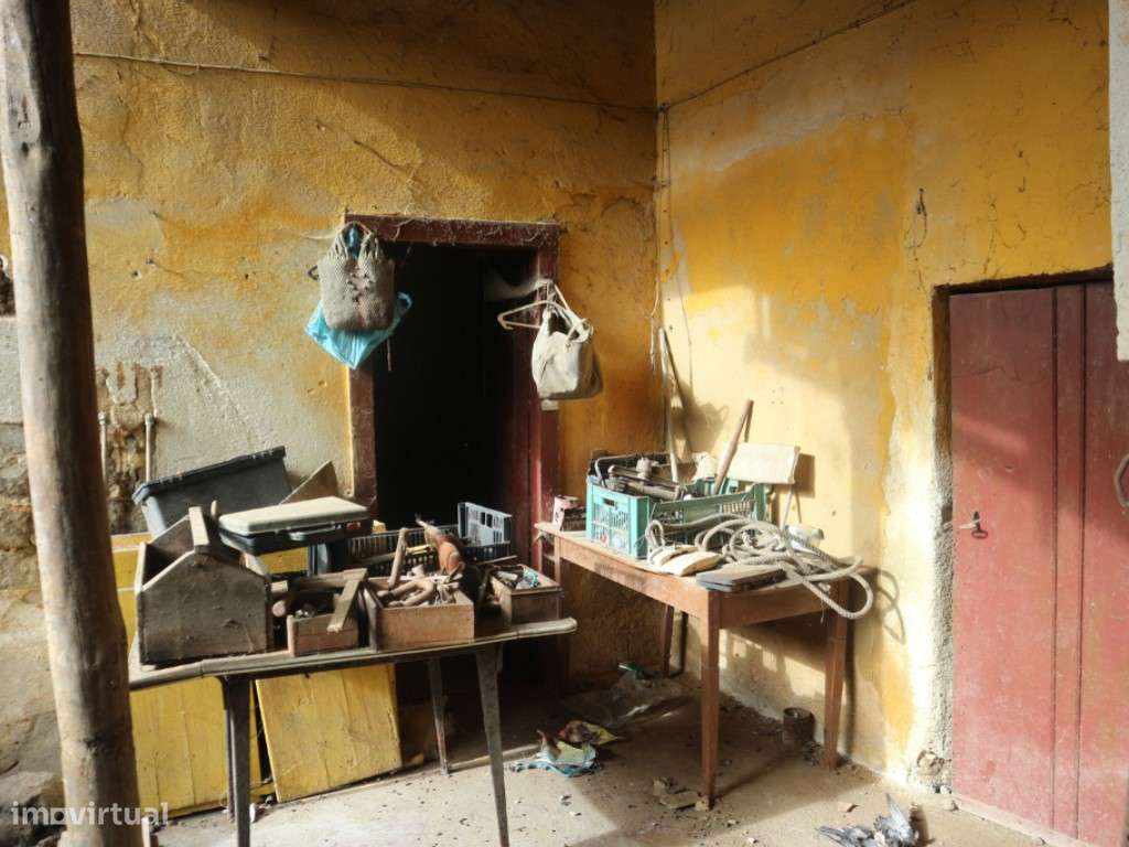 DOIS ARTIGOS - MURTOSA - Grande imagem: 4/12