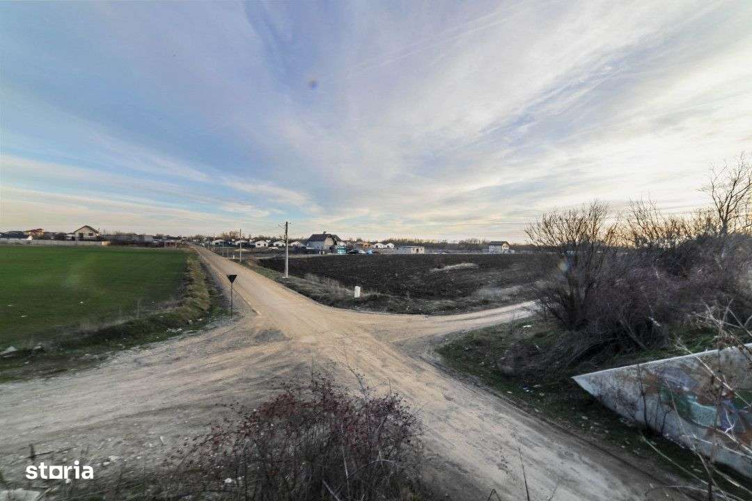 Teren 6000mp*Domnesti*Salciei-Haltei-Ciocarliei*Drum asfaltat cu utili - Imagine principală: 4/11