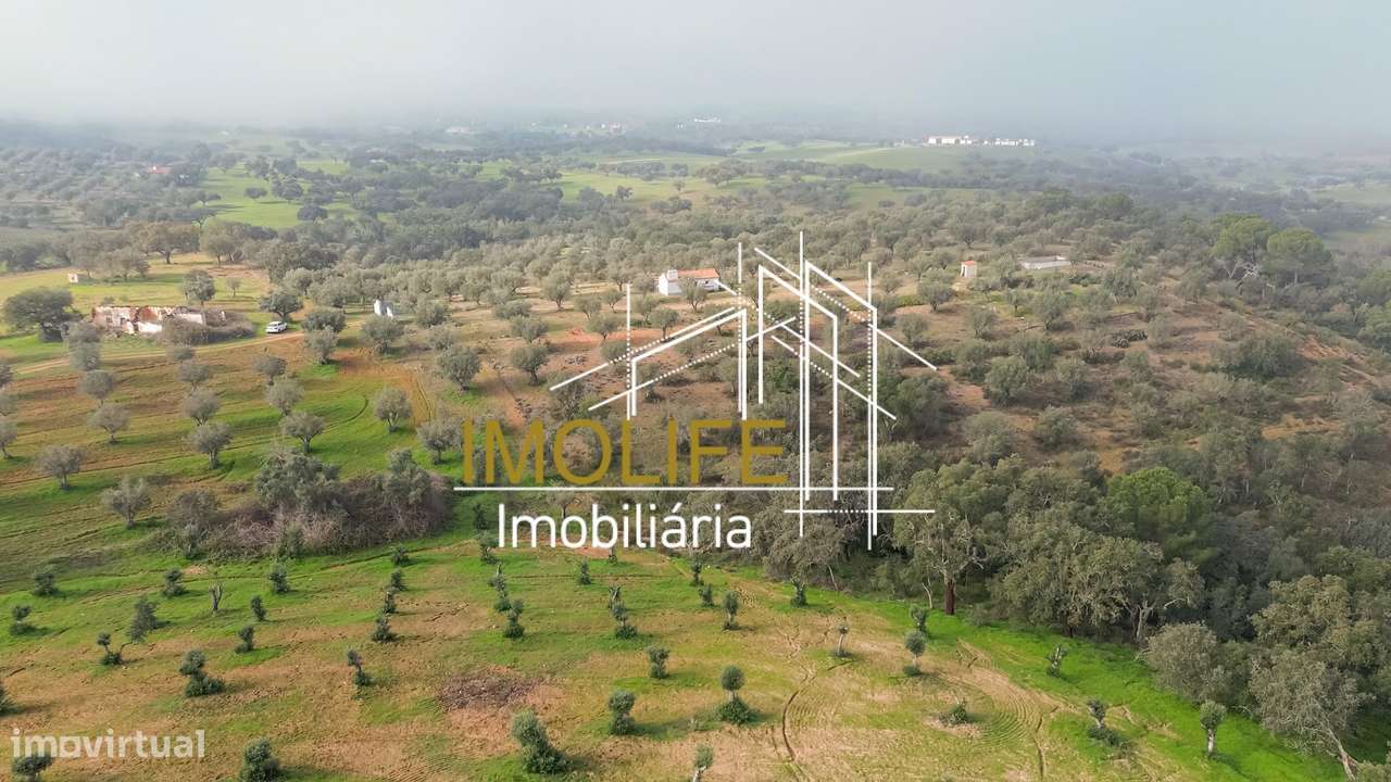 MONTINHO DO CHIADO - MALARRANHA - PAVIA-21