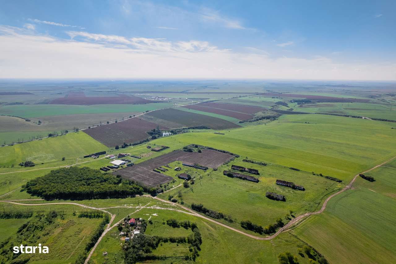 Teren de 69188 mp în Seceani - Imagine principală: 5/5