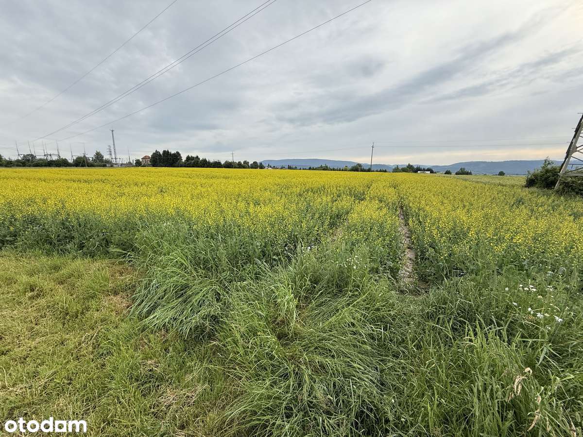 Działki budowlane w górskiej okolicy - Pełny obrazek: 3/9