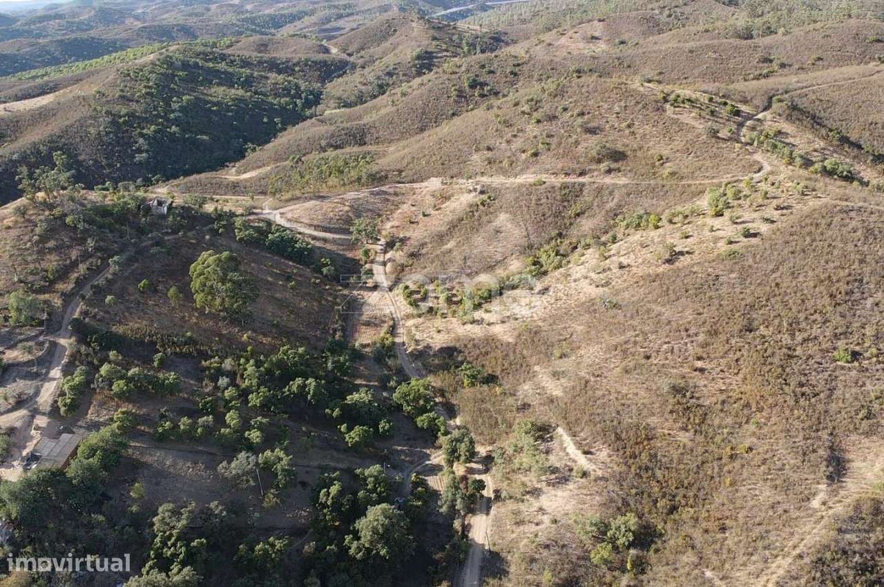Terreno Rústico em Foz do Ribeiro c/ 6.640m2 e tanque de água - Grande imagem: 4/16
