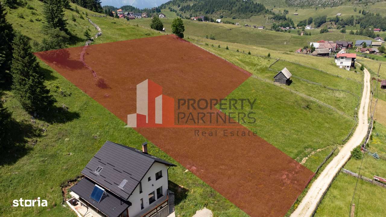 Teren Fundatica intravilan 4500 mp - Imagine principală: 2/18