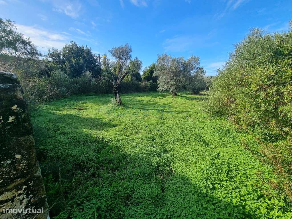 Terreno Misto com Projeto Aprovado a apenas 5 minutos do centro de ... - Grande imagem: 4/12