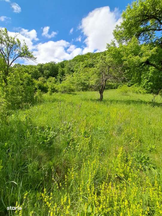 Teren de vanzare in Vii,  Podul Olt-1