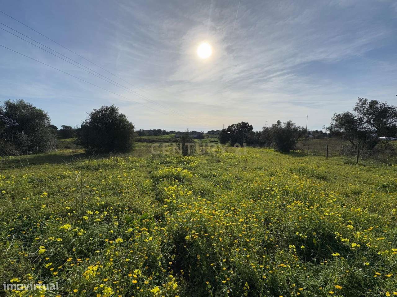 Quinta com 34.920 m2 junto à circular externa do Montijo - Grande imagem: 5/18