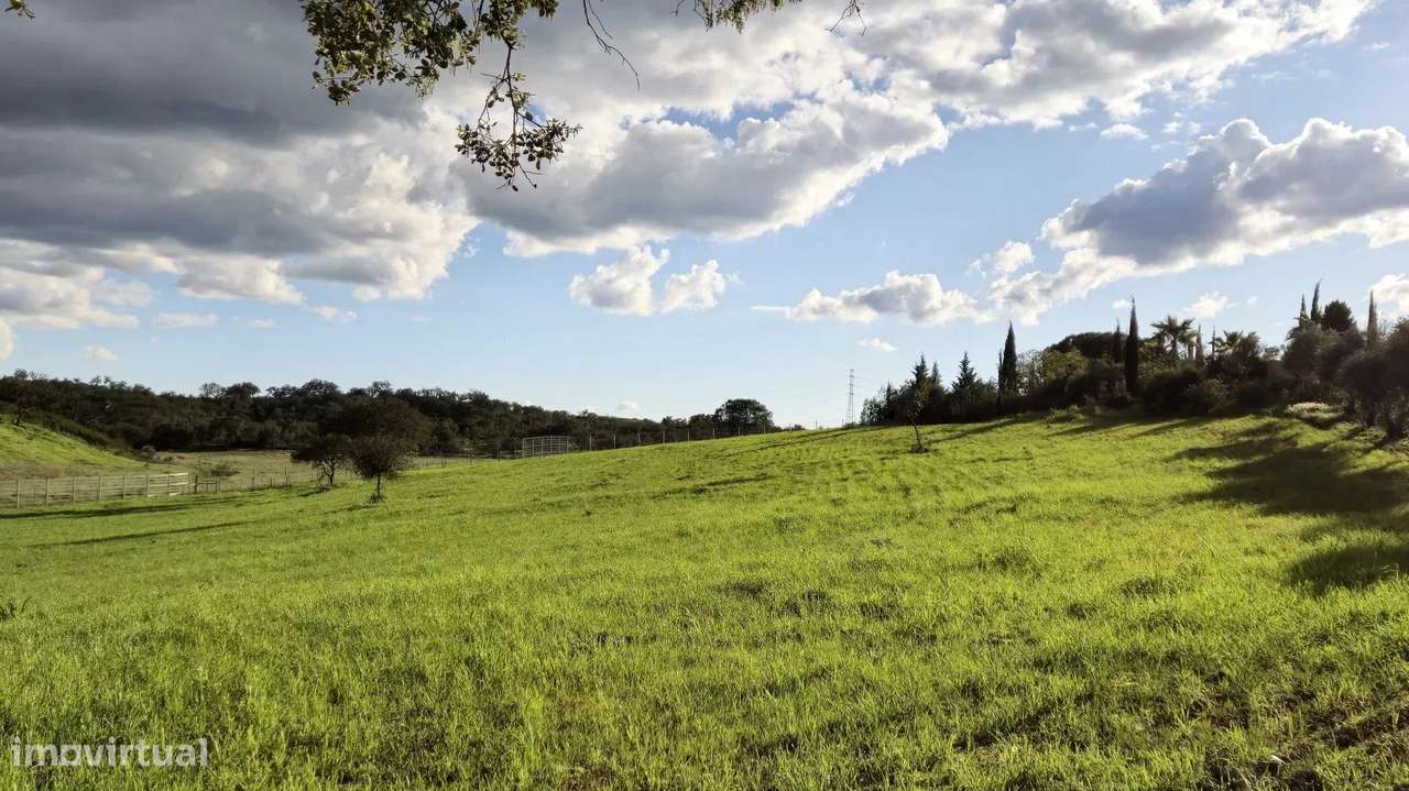 Casa senhorial privada com piscina em mais de 5 hectares.-52