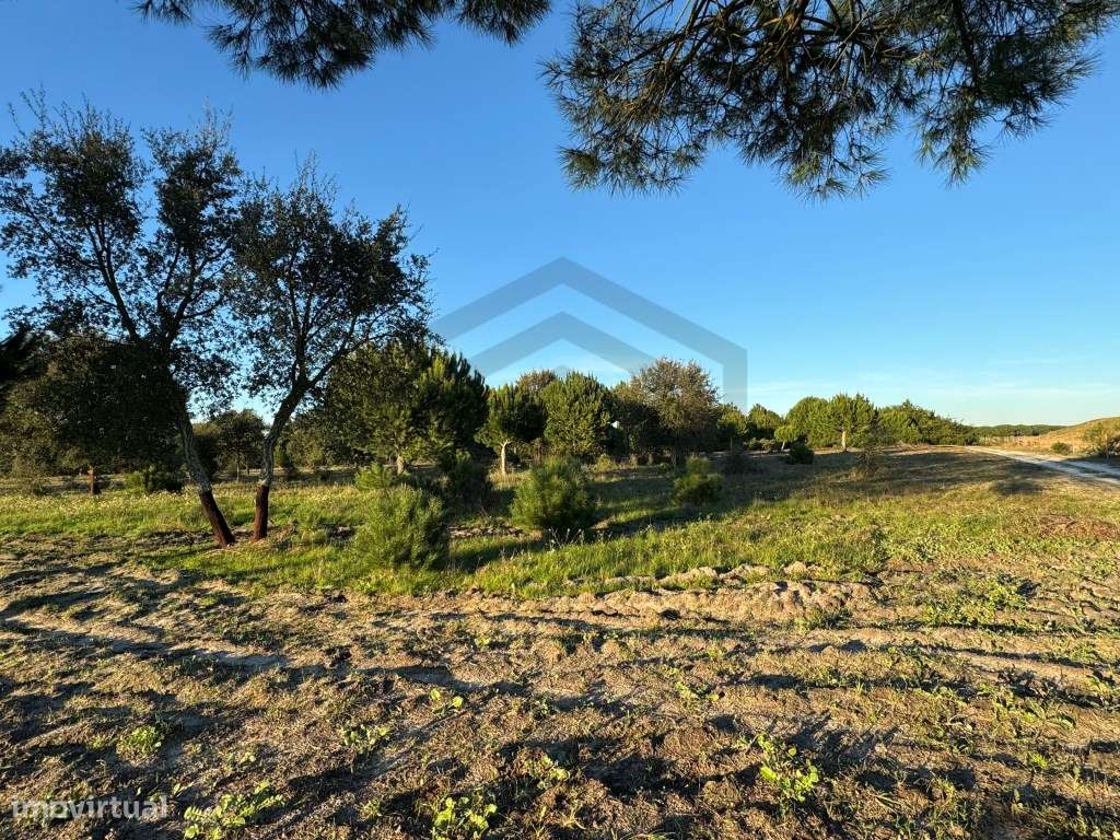 Terreno com 50.000m2 Rústico, possível construir moradia, em Pegões - Grande imagem: 5/17