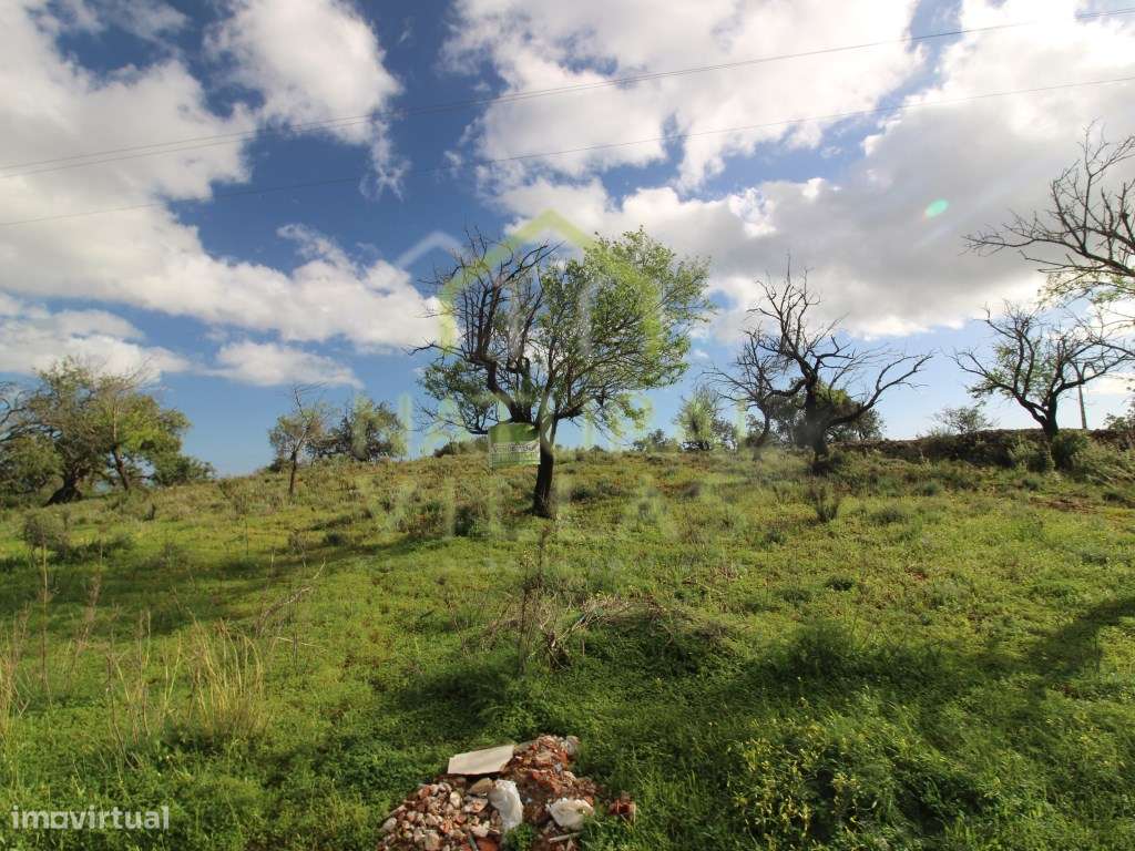 Terreno Rústico junto a Estrada em Vale de Gralhas, Estoi - Grande imagem: 4/5