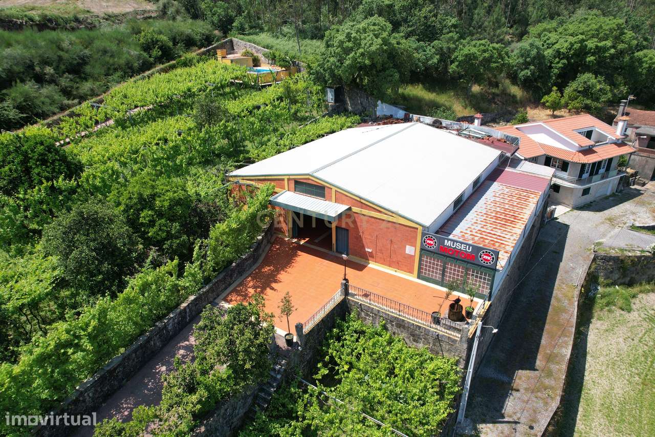 Quinta Palaciana T6 com 1070M2, terreno com 4957m2, Vinha, Piscina e G - Grande imagem: 3/60