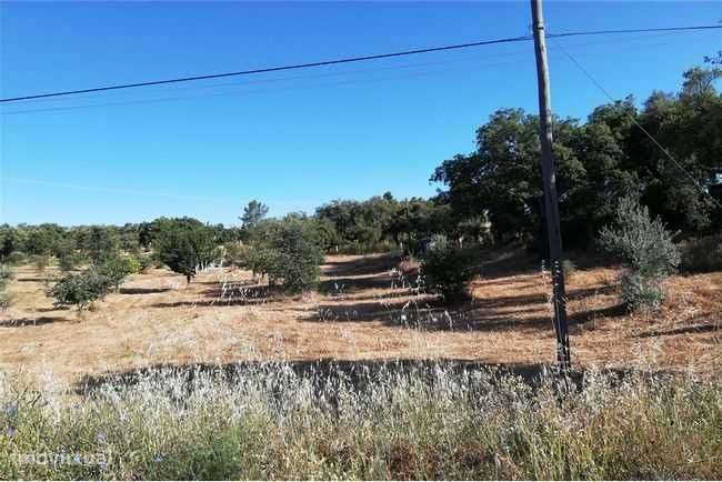 terreno 4ht arronches construção - Grande imagem: 5/12