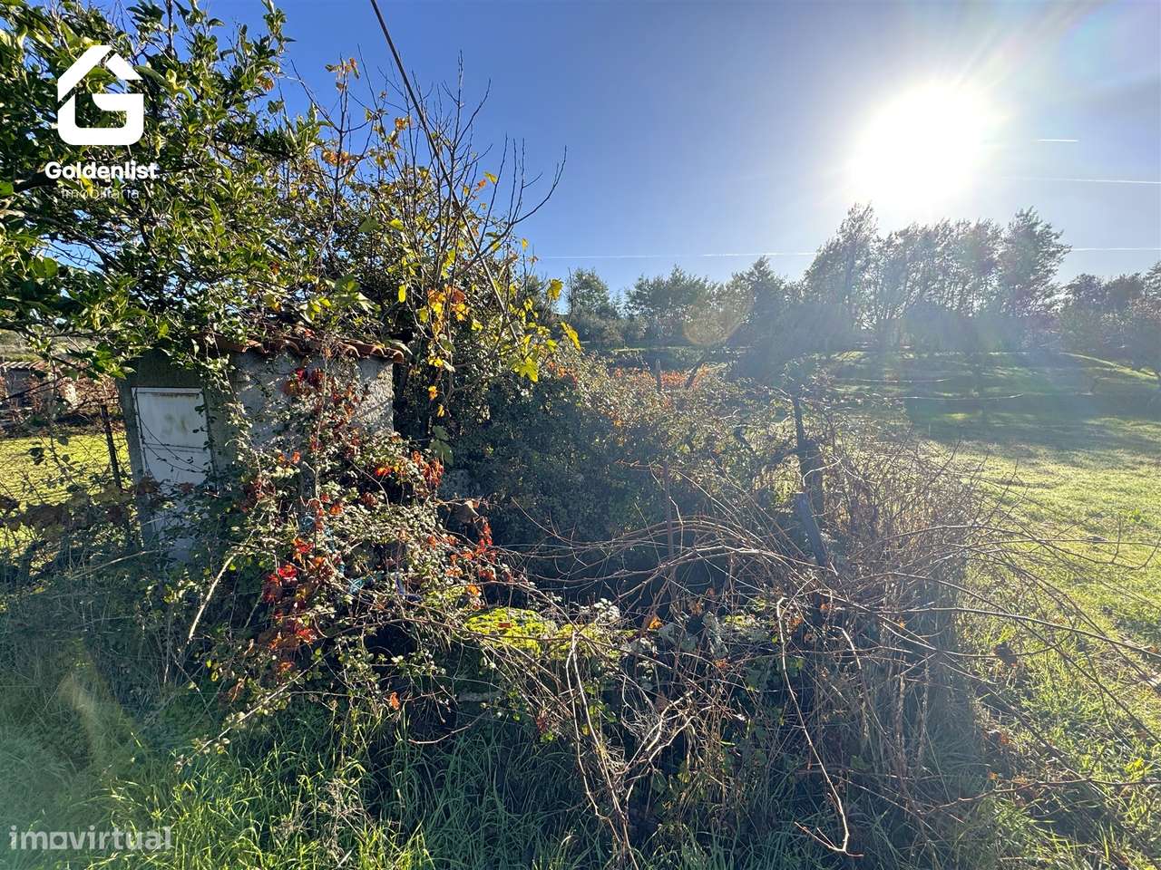 Quinta T3 Venda em Escalos de Cima e Lousa,Castelo Branco-49