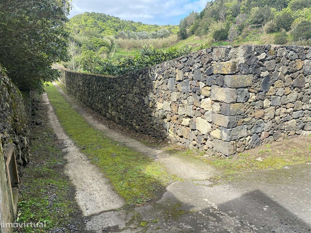 Terreno Rústico - Caloura - Grande imagem: 2/4