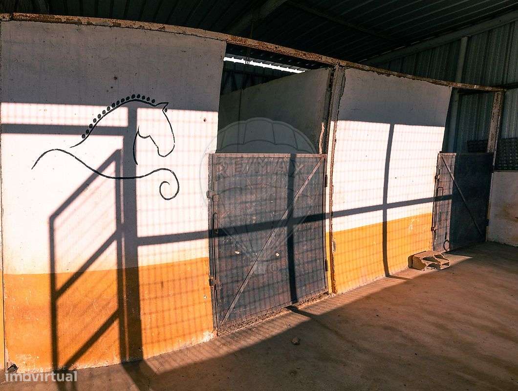 Quinta T10 para venda-44