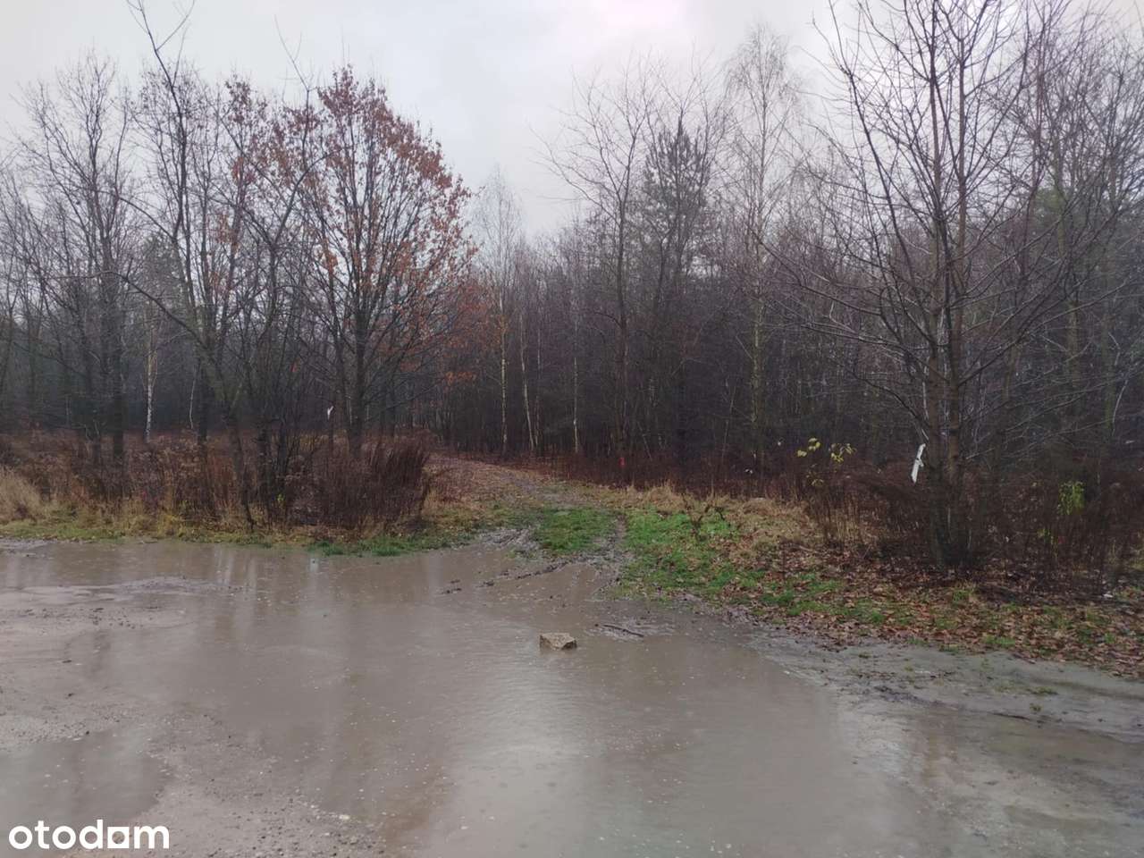 SPRZEDAM DZIAŁKE BUDOWLANĄ KOBYŁKA - Pełny obrazek: 5/8