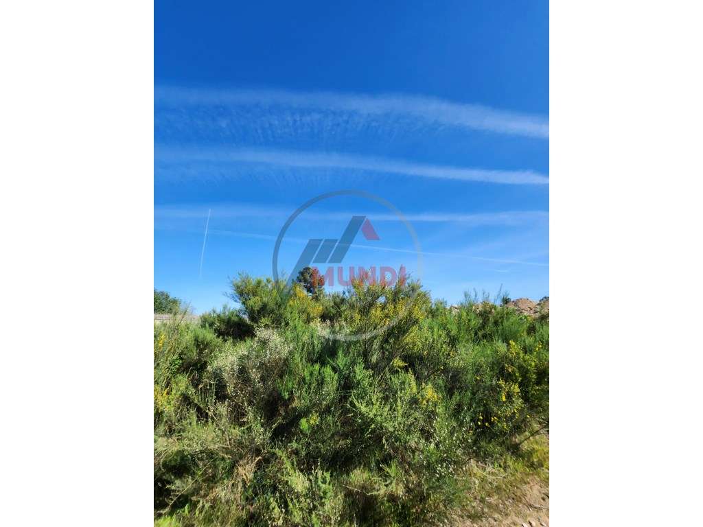 Terreno Misto com com uma charca natural e uma ruina, tem viabilida... - Grande imagem: 3/11