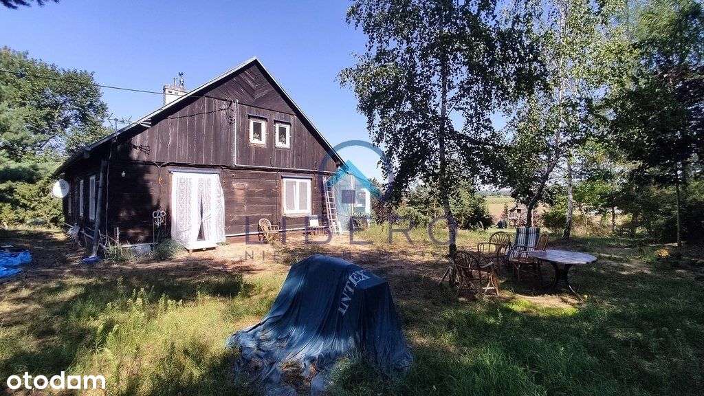 Klimatyczne siedlisko pod lasem - Pełny obrazek: 4/20