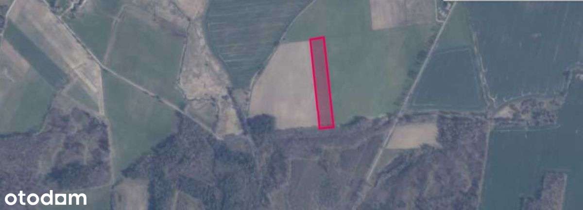 Działka inwestycyjna idealna pod zabudowę i usługi - Pełny obrazek: 2/9