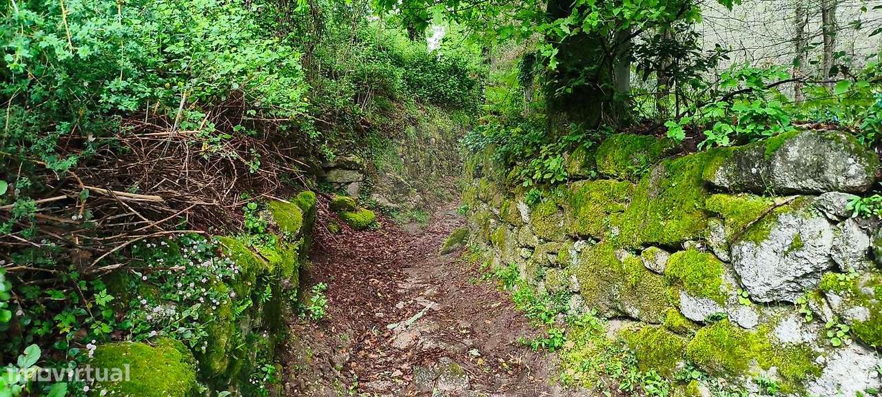 Terreno  para venda-34