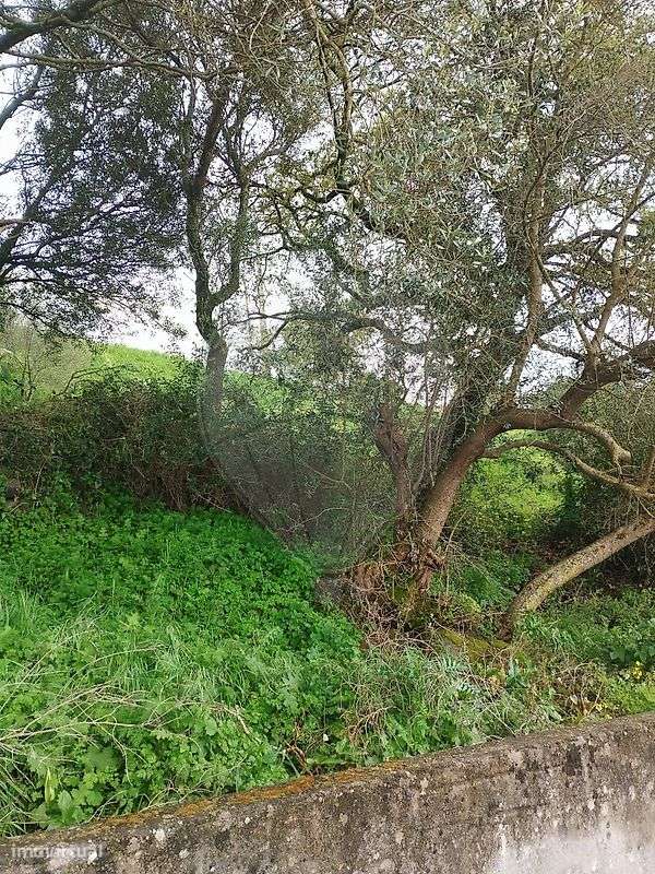 Terreno  para venda - Grande imagem: 4/4