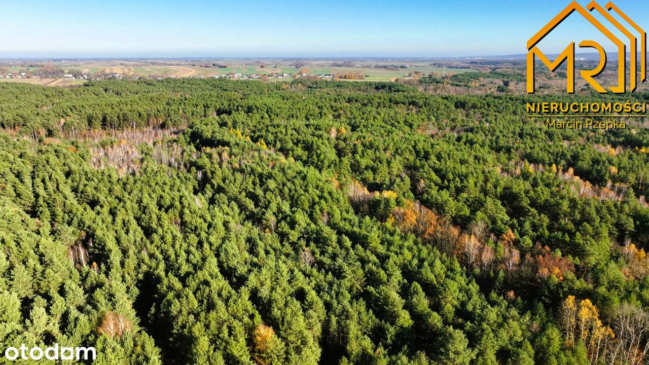 Działka z pełną dokumentacją budowlaną w gminie Czarna-8