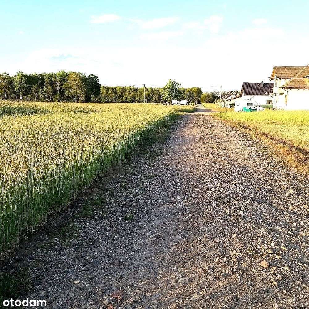 Otusz - 1436 m2 z możliwością podziału na dwie - Pełny obrazek: 5/6