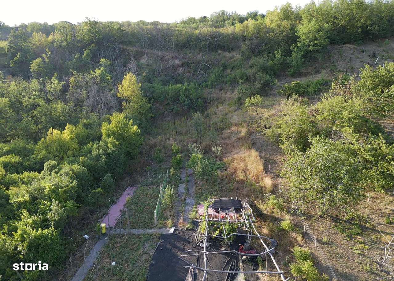 Teren intravilan 3.300 mp  in Podgoria - IMOBIHOR - Imagine principală: 5/6