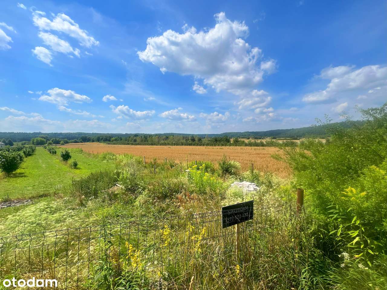 Tania działka blisko Juraparku Bałtów - Pełny obrazek: 2/14