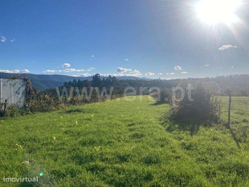 Terreno Rústico / Seia, Seia, São Romão e Lapa dos Dinheiros - Grande imagem: 1/5