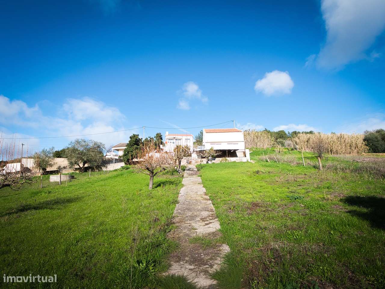 Terreno  Venda em Alhandra, São João dos Montes e Calhandriz,Vila Fran - Grande imagem: 5/39
