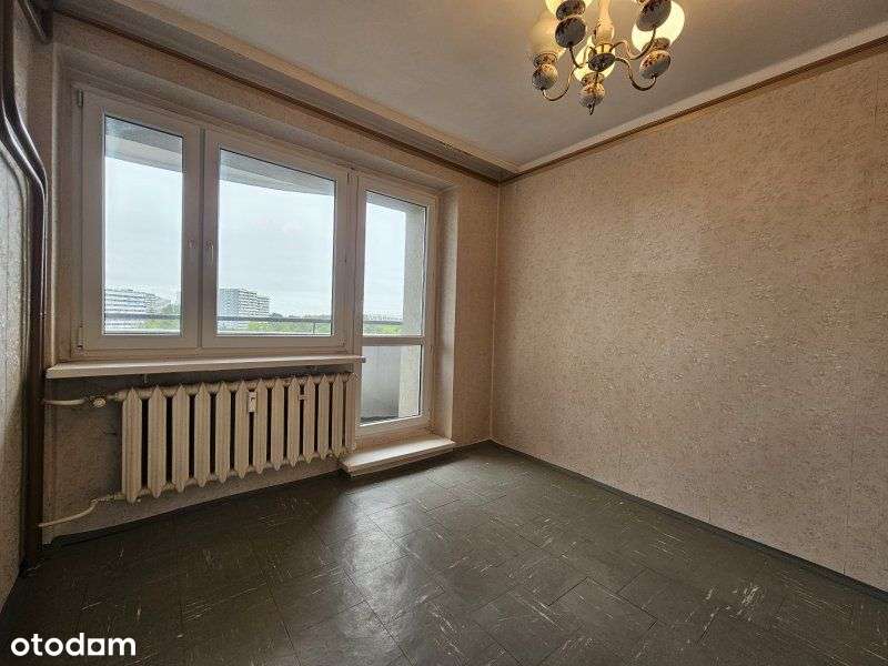 3 pokoje Os. Tysiąclecia, Kukurydza-6