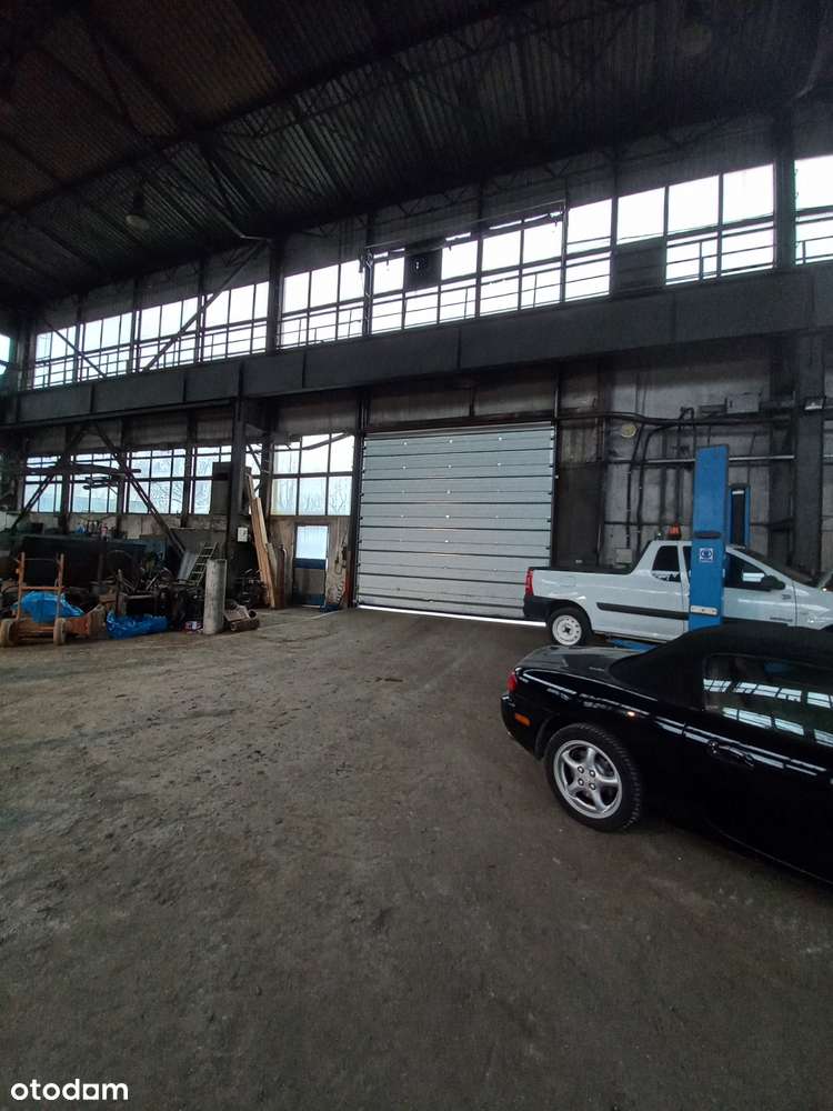 Konstrukcja stalowa hali produkcyjnej - Pełny obrazek: 4/4