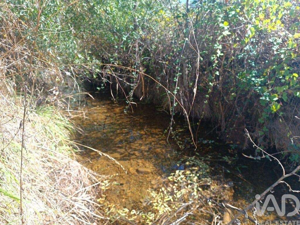 Terreno Agrícola em Azinhoso de 2874,00 m2 - Grande imagem: 4/6