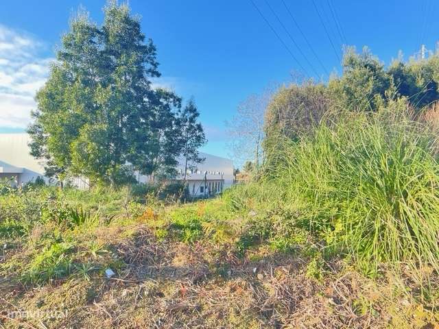 Terreno com 606m2, localizado próximo do Centro de Canelas!-7