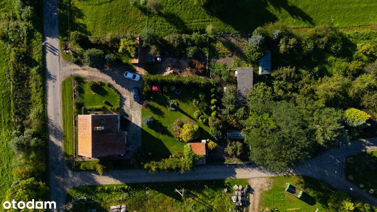 Dom na Mazurach Zachodnich - cisza i natura w Janikach Wielkich - Pełny obrazek: 5/18