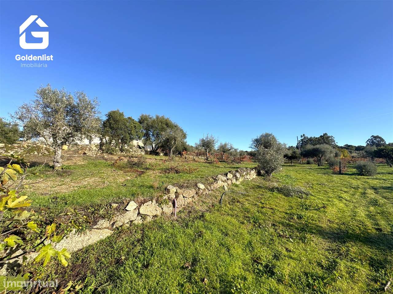 Quinta T3 Venda em Escalos de Cima e Lousa,Castelo Branco-55