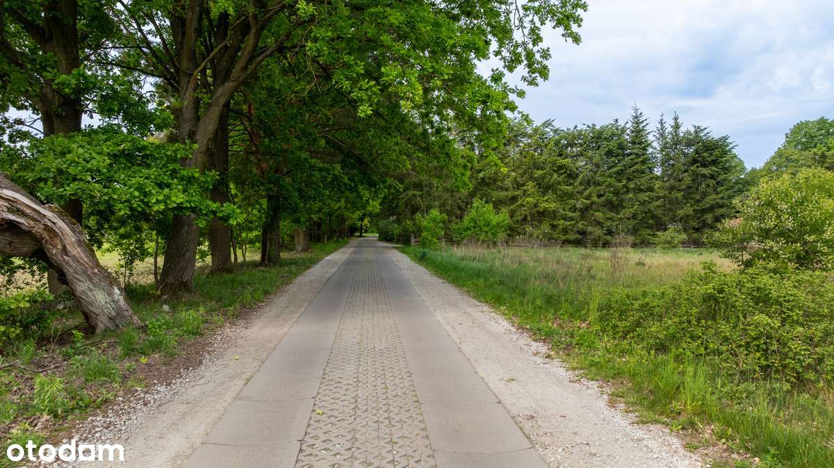 Piękne działki budowlane ze starodrzewiem pod Nowym Tomyślem-3