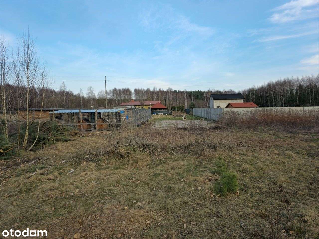 Urokliwa okolica czysty leśny klimat blisko miasta-5