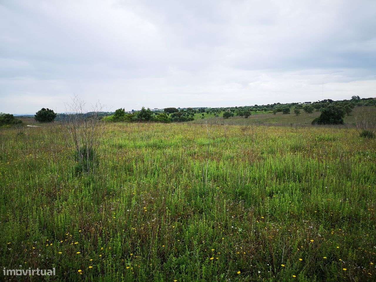 Terreno 57ha Santarém-9
