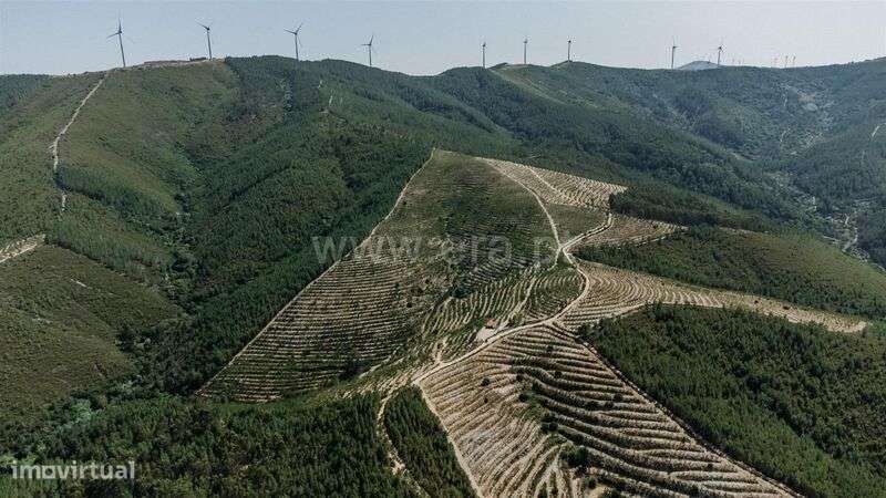 Terreno / Fundão, Castelejo - Grande imagem: 2/19