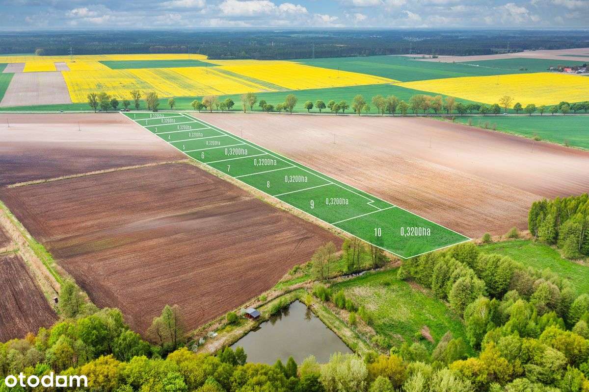 Działki siedliskowe obok Namysłowa - Pełny obrazek: 5/8