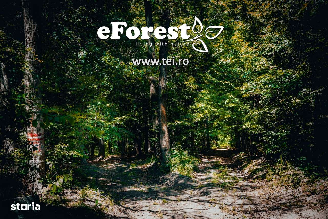 Loturi de casă 720 - 900 mp, langă Pădure în eForest, acces asfaltat - Imagine principală: 4/13