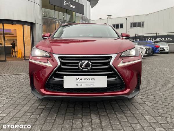 Lexus NX - 6