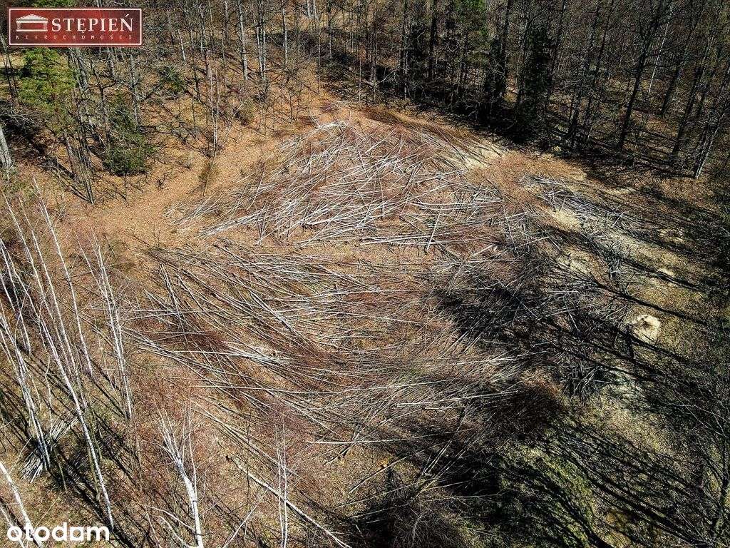 Działka położona w sercu górskiego regionu! - Pełny obrazek: 5/13