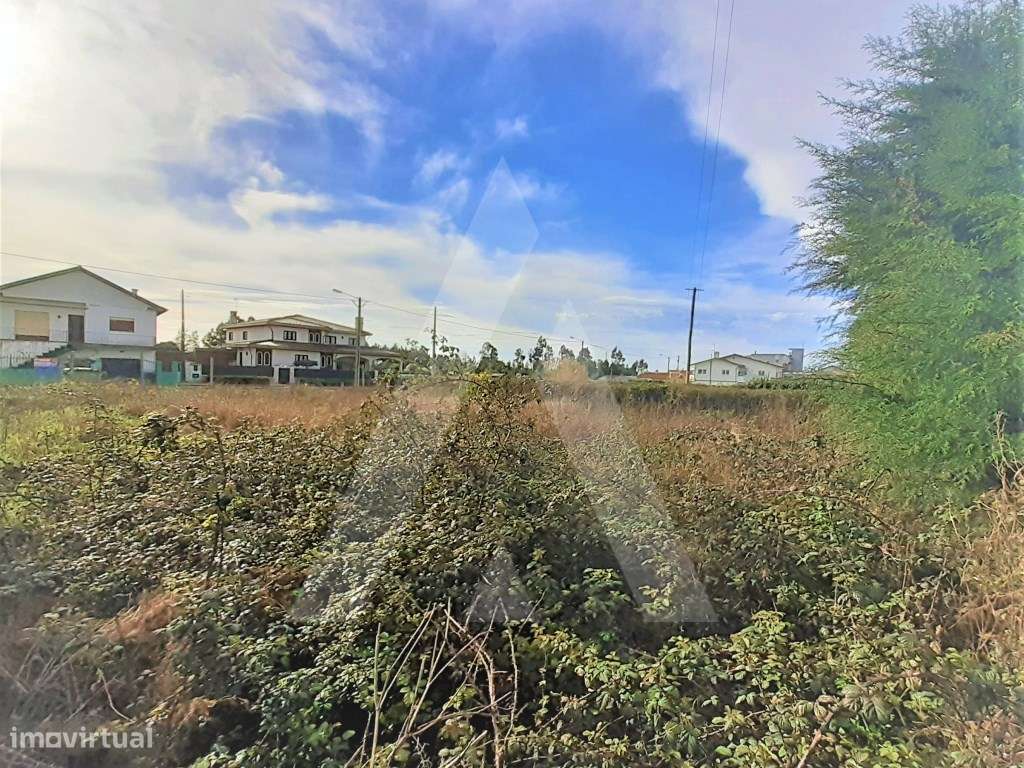 Terreno para construção em Mira - Grande imagem: 2/12