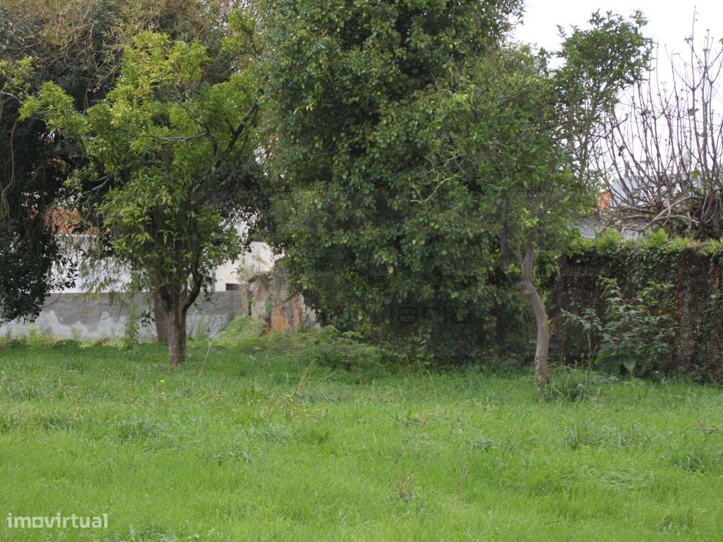 Terreno para venda junto á Escola Secundaria de Estarreja - Grande imagem: 3/14