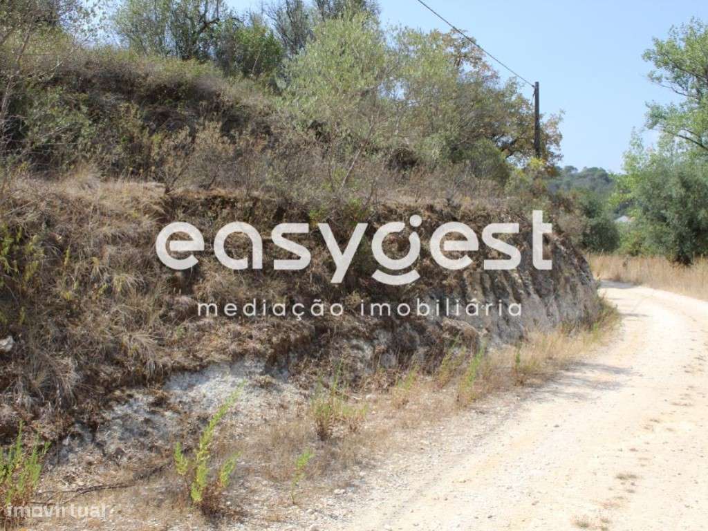 Terreno Rustico com 640m2, localizado a 10min da cidade de Tomar - Grande imagem: 3/14