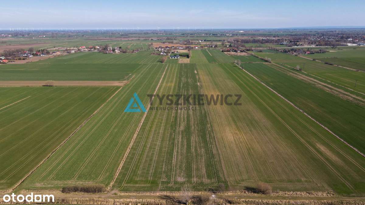 Działka rolna - Cisy, Malbork - Pełny obrazek: 5/11